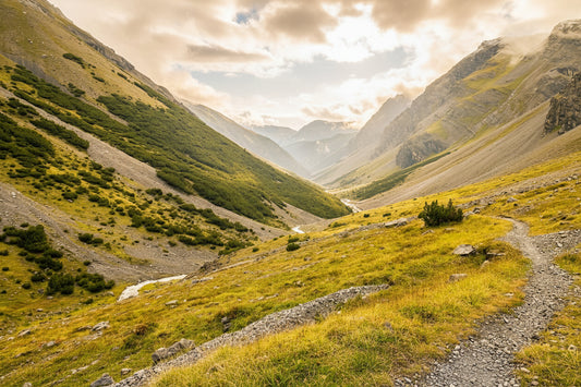 AROSA TRAILS