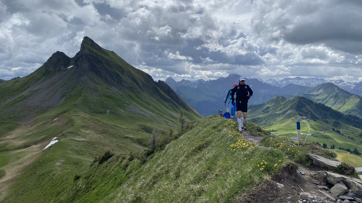 BREGENZERWALD TRAILS