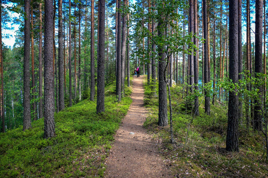 FINNLAND LAHTI TRAILS