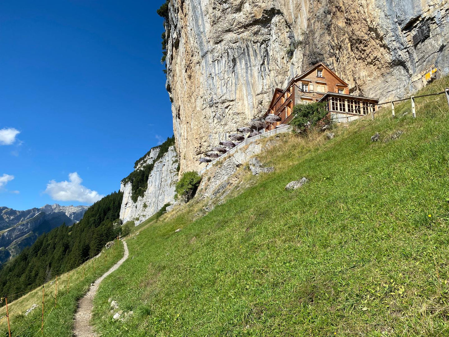 Trailrunning Workshop für Fortgeschrittene • Säntis, CH