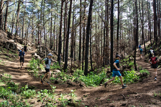 TENERIFFA HOLIDAY TRAILS