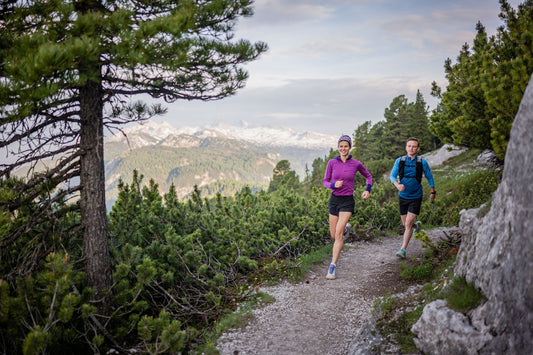 KING DACHSTEIN TRAIL - selfguided